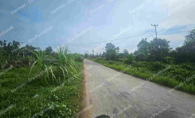 Lahan seluas 300 hektar