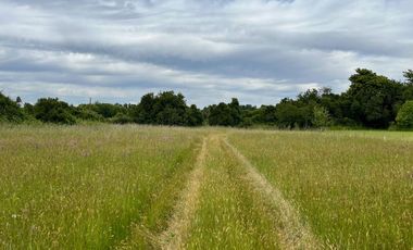 Hermosa Parcela en Tralcao con acceso al Río Pichoy