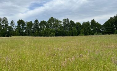 Hermosa Parcela en Tralcao con acceso al Río Pichoy
