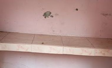 GRAN OPORTUNIDAD DE INVERSIÓN – CASA AMPLIA EN LA TOLITA 1