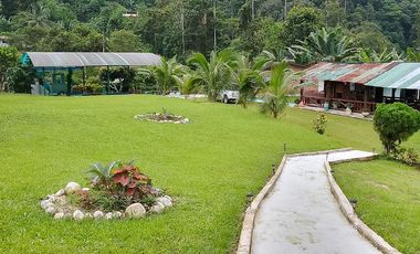 VENTA DE LOTE DE TERRENO CON CASA Y PISCINA  PARAÍSO EN PEDRO VICENTE MALDONADO! 3,200 m² DE NATURALEZA