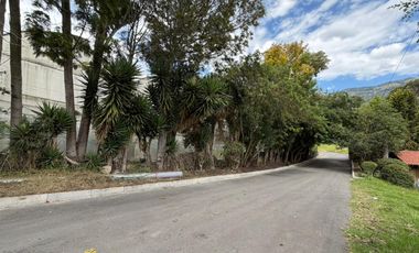 En Venta Quinta en Paute – Sector Pirincay | Amplio terreno y excelente clima