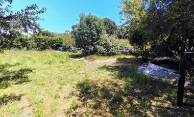 Sitio en Curiñanco (acciones y derechos) $ 42.000.000.