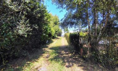 Sitio en Curiñanco (acciones y derechos) $ 42.000.000.