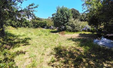 Sitio en Curiñanco (acciones y derechos) $ 42.000.000.