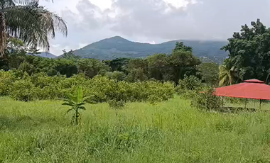 Finca Productiva de 71 Fanegadas – Autosuficiencia Total y Alta Rentabilidad