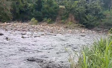 Finca Productiva de 71 Fanegadas – Autosuficiencia Total y Alta Rentabilidad