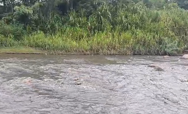 Finca Productiva de 71 Fanegadas – Autosuficiencia Total y Alta Rentabilidad