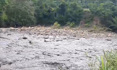 Finca Productiva de 71 Fanegadas – Autosuficiencia Total y Alta Rentabilidad