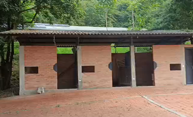 Finca Productiva de 71 Fanegadas – Autosuficiencia Total y Alta Rentabilidad