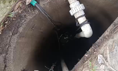 Finca Productiva de 71 Fanegadas – Autosuficiencia Total y Alta Rentabilidad