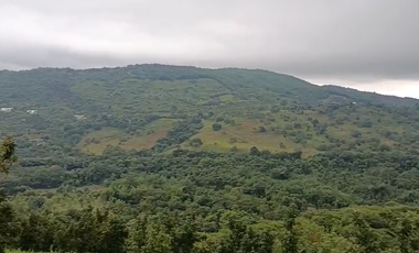 Finca Productiva de 71 Fanegadas – Autosuficiencia Total y Alta Rentabilidad