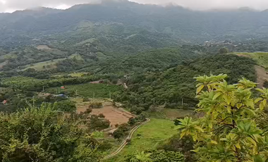 Finca Productiva de 71 Fanegadas – Autosuficiencia Total y Alta Rentabilidad