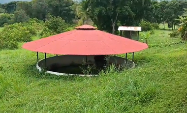 Finca Productiva de 71 Fanegadas – Autosuficiencia Total y Alta Rentabilidad