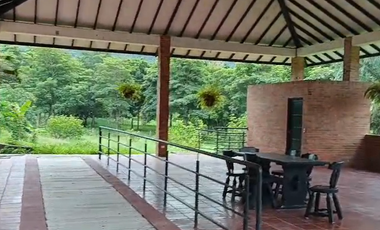 Finca Productiva de 71 Fanegadas – Autosuficiencia Total y Alta Rentabilidad