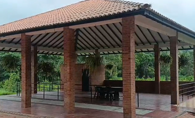 Finca Productiva de 71 Fanegadas – Autosuficiencia Total y Alta Rentabilidad