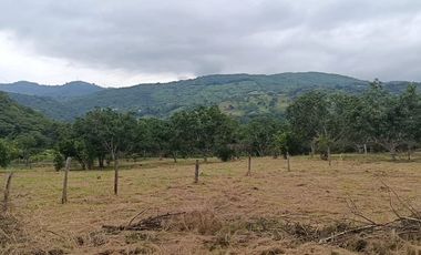 Finca Productiva de 71 Fanegadas – Autosuficiencia Total y Alta Rentabilidad