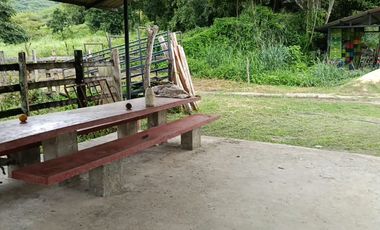 Finca Productiva de 71 Fanegadas – Autosuficiencia Total y Alta Rentabilidad