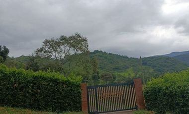 Finca Productiva de 71 Fanegadas – Autosuficiencia Total y Alta Rentabilidad