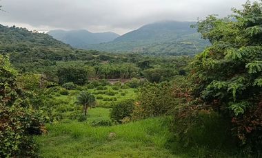 Finca Productiva de 71 Fanegadas – Autosuficiencia Total y Alta Rentabilidad