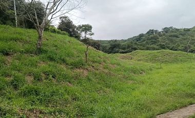 Finca Productiva de 71 Fanegadas – Autosuficiencia Total y Alta Rentabilidad