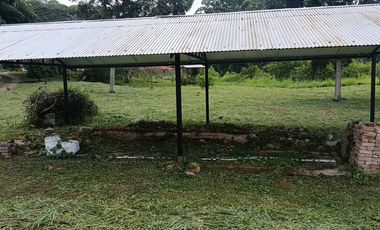 Finca Productiva de 71 Fanegadas – Autosuficiencia Total y Alta Rentabilidad