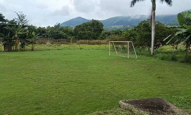 Finca Productiva de 71 Fanegadas – Autosuficiencia Total y Alta Rentabilidad