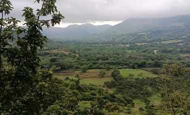 Finca Productiva de 71 Fanegadas – Autosuficiencia Total y Alta Rentabilidad