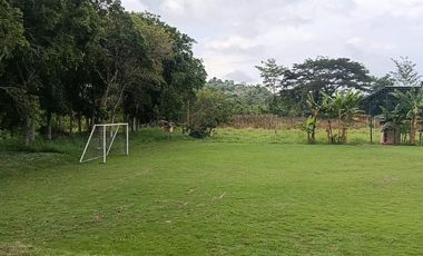 Finca Productiva de 71 Fanegadas – Autosuficiencia Total y Alta Rentabilidad