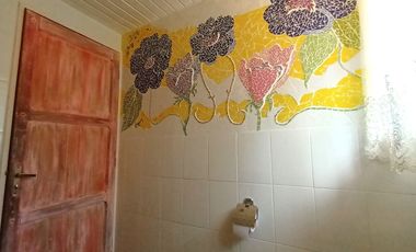 VENTA Cabaña de turismo, Camino a Termas de Chillán