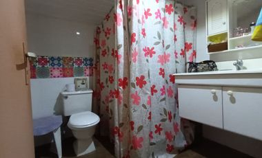 VENTA Cabaña de turismo, Camino a Termas de Chillán