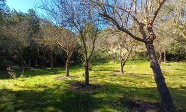 VENTA Parcela de agrado en Condominio, sector Lo Orozco