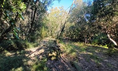 VENTA Parcela de agrado en Condominio, sector Lo Orozco