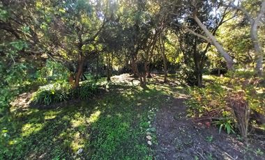 VENTA Parcela de agrado en Condominio, sector Lo Orozco