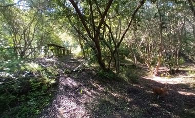 VENTA Parcela de agrado en Condominio, sector Lo Orozco