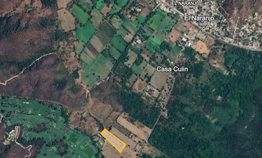 🌳 Oportunidad de Inversión: 2 Hectáreas en El Naranjo, Manzanillo