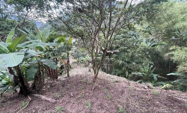 Hermoso terreno en venta, en Mindo, a 800 metros de la vía principal que baja al pueblo