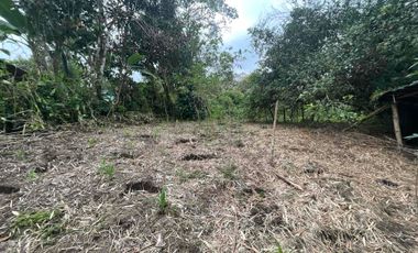 Hermoso terreno en venta, en Mindo, a 800 metros de la vía principal que baja al pueblo
