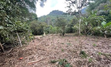 Hermoso terreno en venta, en Mindo, a 800 metros de la vía principal que baja al pueblo