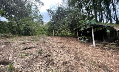 Hermoso terreno en venta, en Mindo, a 800 metros de la vía principal que baja al pueblo