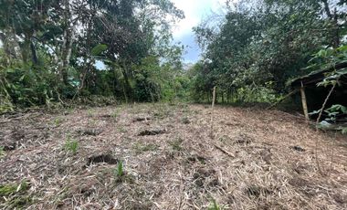 Hermoso terreno en venta, en Mindo, a 800 metros de la vía principal que baja al pueblo