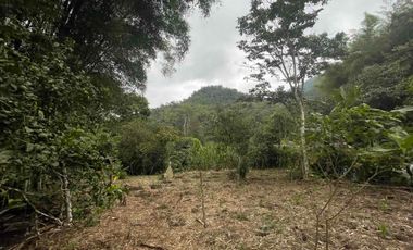 Hermoso terreno en venta, en Mindo, a 800 metros de la vía principal que baja al pueblo