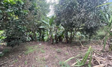 Hermoso terreno en venta, en Mindo, a 800 metros de la vía principal que baja al pueblo