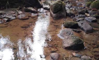 4,25 hectáreas en venta, muy cerca de San Miguel de Los Bancos