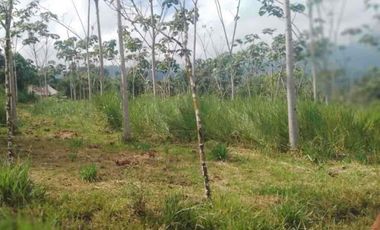 4,25 hectáreas en venta, muy cerca de San Miguel de Los Bancos