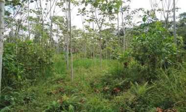 4,25 hectáreas en venta, muy cerca de San Miguel de Los Bancos