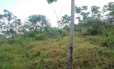 4,25 hectáreas en venta, muy cerca de San Miguel de Los Bancos