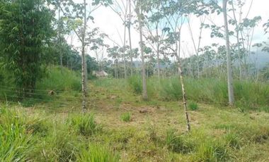 4,25 hectáreas en venta, muy cerca de San Miguel de Los Bancos