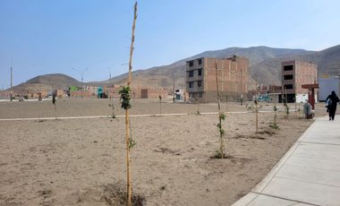 VENDO LOTE DE TERRENO 126m2-URB. LA ALAMEDA LIMA NORTE ETAPA II-SANTA ROSA