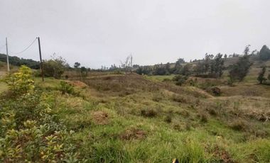 QUINTA CON PISCINA EN VENTA EN PARROQUIA LA ASUNCION